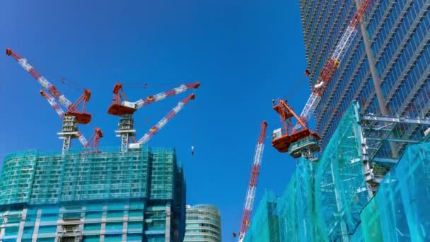 Timelapse Crane Construction Tokyo High Quality Footage Minato District Iikurakatamachi — Stockvideo