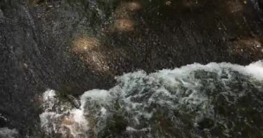 A slow motion of flowing river in Tokyo long shot. High quality 4k footage. Setagaya district Todoroki Tokyo Japan 08.02.2022. It is called Todoroki keikoku.