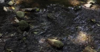 A slow motion of flowing river in Tokyo. High quality 4k footage. Setagaya district Todoroki Tokyo Japan 08.02.2022. It is called Todoroki keikoku.