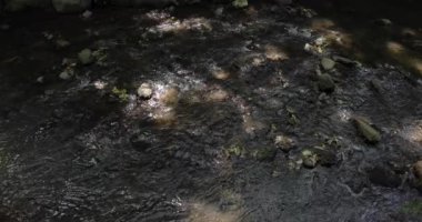 A slow motion of flowing river in Tokyo wide shot. High quality 4k footage. Setagaya district Todoroki Tokyo Japan 08.02.2022. It is called Todoroki keikoku.