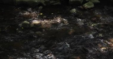 A slow motion of flowing river in Tokyo. High quality 4k footage. Setagaya district Todoroki Tokyo Japan 08.02.2022. It is called Todoroki keikoku.