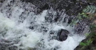 A slow motion of flowing river in Tokyo long shot. High quality 4k footage. Setagaya district Todoroki Tokyo Japan 08.02.2022. It is called Todoroki keikoku.