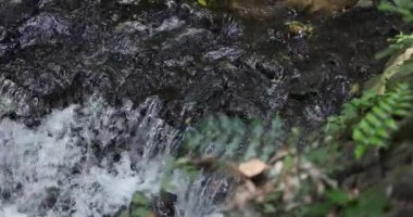 A slow motion of flowing river in Tokyo long shot. High quality 4k footage. Setagaya district Todoroki Tokyo Japan 08.02.2022. It is called Todoroki keikoku.