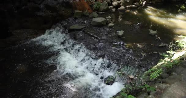 Slow Motion Flowing River Tokyo High Quality Footage Setagaya District — Stockvideo