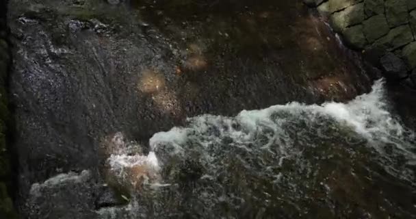 Slow Motion Flowing River Tokyo Long Shot High Quality Footage — Vídeo de Stock