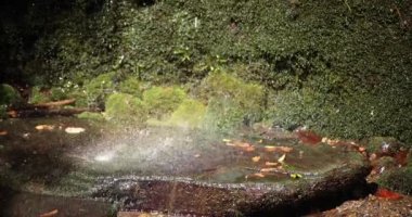 A slow motion of water fall in Setagaya Tokyo in summer close up. High quality 4k footage. Setagaya district Todoroki Tokyo Japan 08.02.2022. It is called Fudou water fall in Todoroki keikoku.