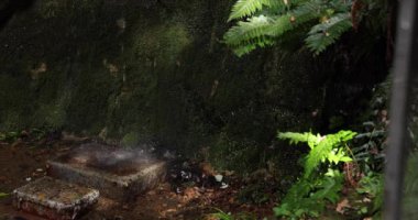 A slow motion of water fall in Setagaya Tokyo in summer. High quality 4k footage. Setagaya district Todoroki Tokyo Japan 08.02.2022. It is called Fudou water fall in Todoroki keikoku.