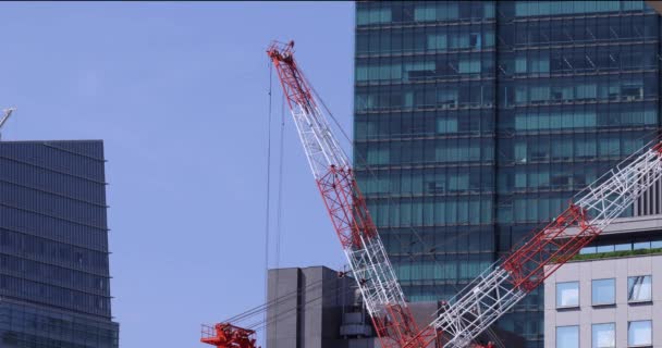 Moving Cranes Construction Daytime Long Shot High Quality Footage Minato — Stockvideo