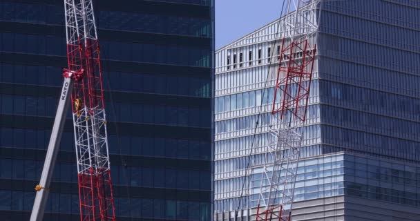 Stopping Cranes Construction Daytime Long Shot High Quality Footage Minato — Vídeos de Stock