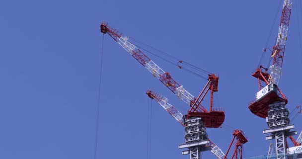 Stopping Cranes Construction Daytime Long Shot High Quality Footage Minato — Stockvideo