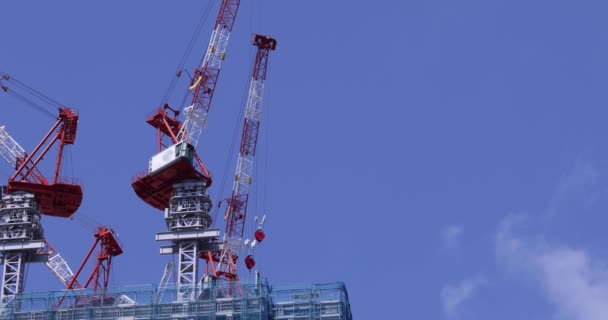 Moving Cranes Construction Daytime Long Shot High Quality Footage Minato — 비디오