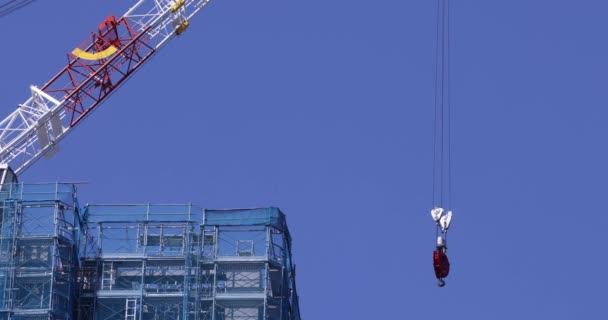Stopping Cranes Construction Daytime Long Shot High Quality Footage Minato — 비디오