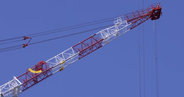 Stopping Cranes Construction Daytime Long Shot High Quality Footage Minato — Vídeos de Stock