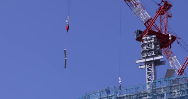 Moving Cranes Construction Daytime Long Shot High Quality Footage Minato — Vídeo de stock