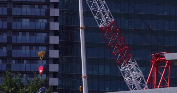 Moving Cranes Construction Daytime Long Shot High Quality Footage Minato — Stock video