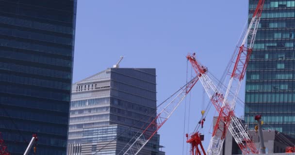 Moving Cranes Construction Daytime Long Shot High Quality Footage Minato — Αρχείο Βίντεο