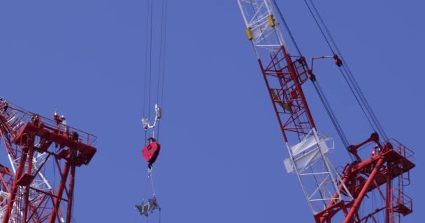 Moving Cranes Construction Daytime Long Shot High Quality Footage Minato — Stockvideo