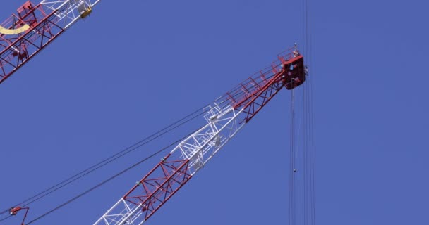 Moving Cranes Construction Daytime Long Shot High Quality Footage Minato — Stockvideo