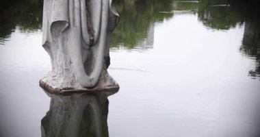 Yağmurlu bir günde ördeğin yavaşça akması. Yüksek kalite 4K görüntü. Nerima Bölgesi Shakujii Tokyo Japonya 08.04.2022