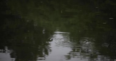 Yağmurlu bir günde su birikintisinin yavaş akışı. Yüksek kalite 4K görüntü. Nerima Bölgesi Shakujii Tokyo Japonya 08.04.2022