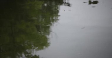 Yağmurlu bir günde su birikintisinin yavaş akışı. Yüksek kalite 4K görüntü. Nerima Bölgesi Shakujii Tokyo Japonya 08.04.2022