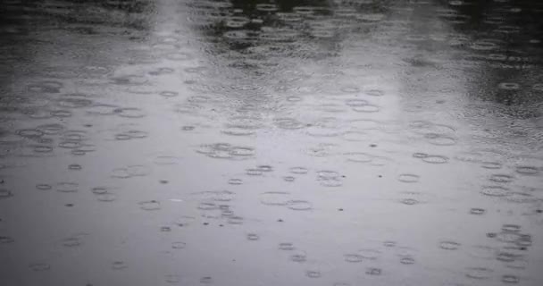 Zpomalený Pohyb Kaluže Deštivém Dni Rybníka Kvalitní Záběry Okres Nerima — Stock video