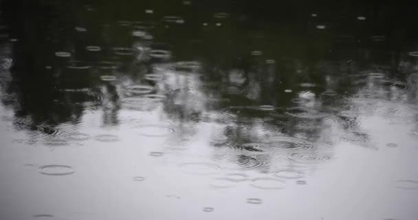 Повільний Рух Калюжі Дощовий День Високоякісні Кадрів Район Неріма Шакуджі — стокове відео
