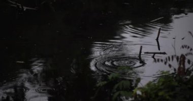 Yağmurlu bir günde su birikintisinin yavaş akışı. Yüksek kalite 4K görüntü. Nerima Bölgesi Shakujii Tokyo Japonya 08.04.2022