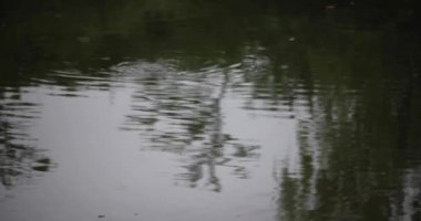 Yağmurlu bir günde su birikintisinin yavaş akışı. Yüksek kalite 4K görüntü. Nerima Bölgesi Shakujii Tokyo Japonya 08.04.2022