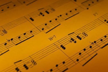 müzik levha detay