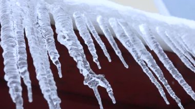 Rusya 'nın kış günü çatıda sallanan buz sarkıtları