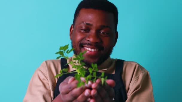 Gemengde ras bloemist man in zwart schort verzorgen van bloemen blauwe achtergrond — Stockvideo