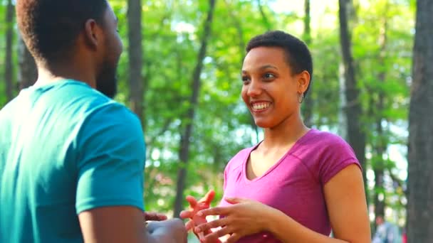 Pareja afroamericana hablando juntos en el parque de verano — Vídeos de Stock