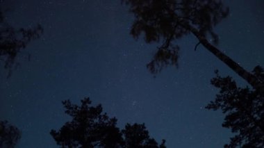 Yıldızlı ve ağaçlı gece gökyüzünün alttaki görüntüsü zaman aşımına uğradı