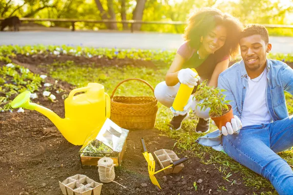 Afro american pasangan berkebun di luar rumah saat matahari terbenam hari musim semi cerah — Stok Foto