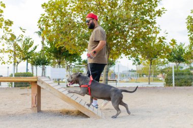 Gözlüklü neşeli melez adam, Osity Park 'ta köpeğiyle oynuyor.