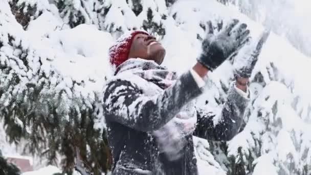 African american man in a snowy winter woodland with snowflakes falling from spruce and fir forest — Stock videók