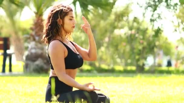 Genç Hintli çekici kadın yoga yapıyor, derin sakin bir nefes alıyor yaz yeşil parkında. — Stok video