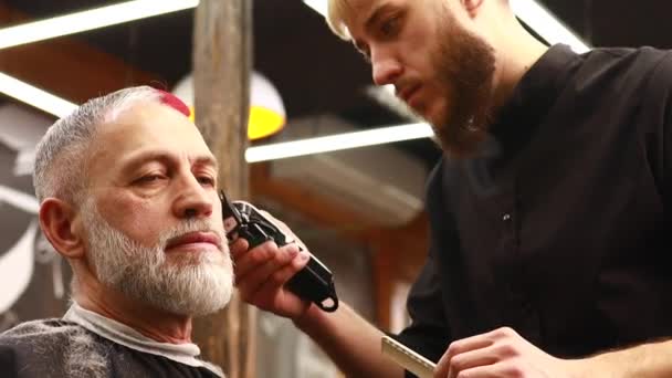 Pensioner homem com barba cinza com cabeleireiro na moda spa homens grooming salão — Vídeo de Stock