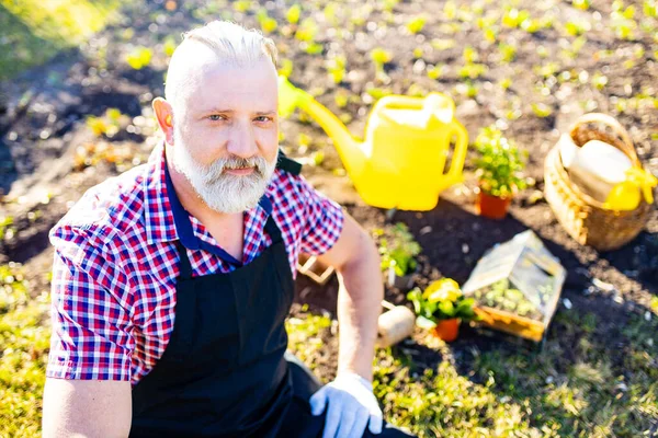 Güneşli bir günde bahçesinde gri sakallı ve saçları olan yaşlı beyaz bir adam.
