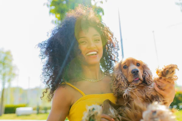 Uzun siyah kıvırcık saçlı güzel bir kadın ve açık havada Amerikan cocker köpeği.