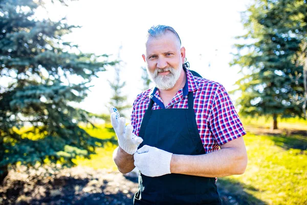 Baharda bahçede beyaz saçlı ve sakallı adam