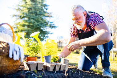 Bahçıvanlık aletleri tohum ekme sezonunu başlatır .