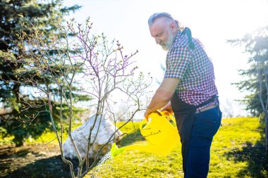 Baharda bahçede beyaz saçlı ve sakallı adam .
