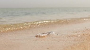 Polietilen çanta ve kumsalda plastik şişe, kirlilik sorunu.