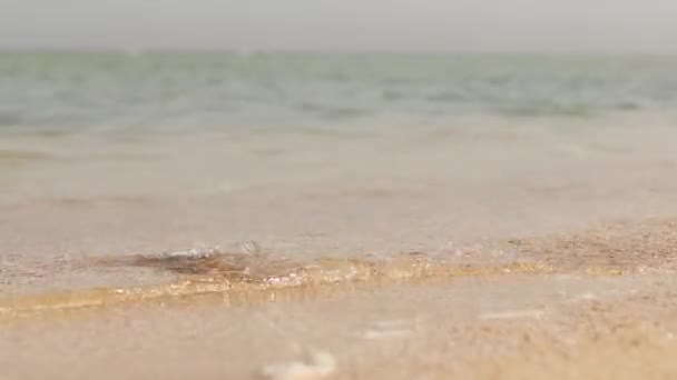 Bolsa Polietileno Botella Plástico Arena Playa Problema Contaminación — Vídeos de Stock