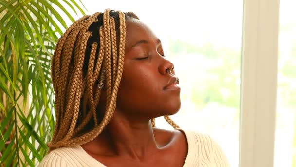 Retrato Mulher Africana Com Dreadlocks Desfrutar Silêncio Casa Verde Planta — Vídeo de Stock