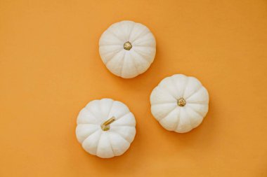 Kağıt üzerinde üç bebek balkabağının yakın plan çekimleri sonbahar tatillerinin bir sembolü ve metin için bir sürü fotokopi alanı