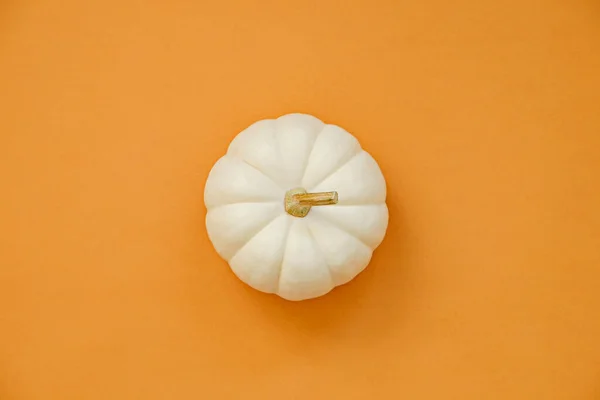 Primer Plano Una Sola Calabaza Baby Boo Sobre Fondo Texturizado — Foto de Stock