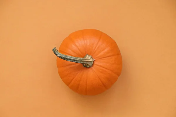 Close Tiro Uma Única Abóbora Laranja Clássico Isolado Fundo Brilhante — Fotografia de Stock